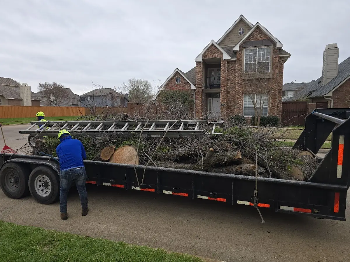 Expert Tree Pest Control with proper safety equipment in Hildreth